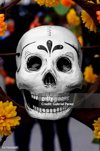 a day of the dead calavera in mexico city - altar de muertos fotografías e imágenes de stock