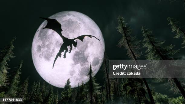 dragon flying in the night - dragão imagens e fotografias de stock