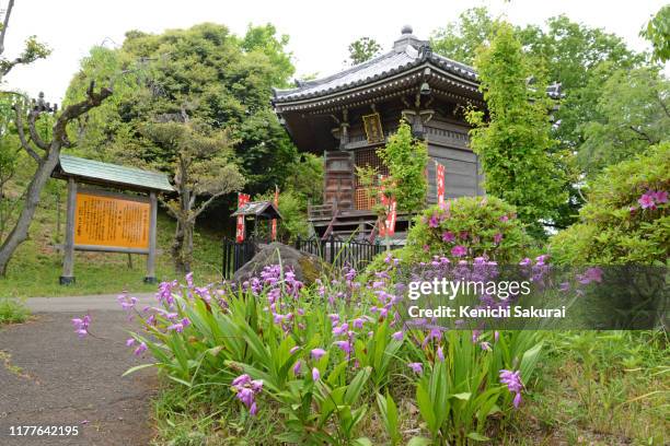 bentendo scenery - shinobazu pond stock pictures, royalty-free photos & images