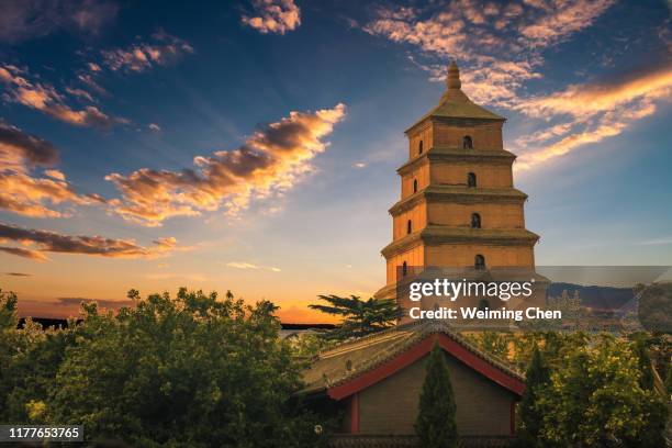 great wild goose pagoda - xian stock-fotos und bilder