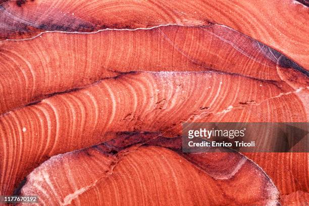 jordan: rock face of petra, with streaks that form red, white and yellow waves. warm light, background, wallpaper. - marble rock foto e immagini stock