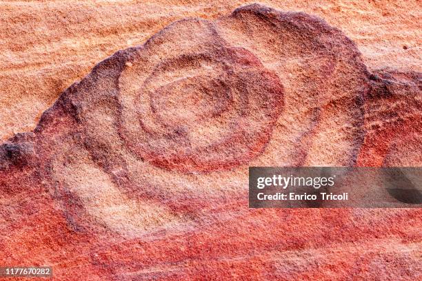 jordan: petra rock wall, with red, yellow and orange stripes forming a rose. warm light, background, wallpaper. - sandstone wall stockfoto's en -beelden