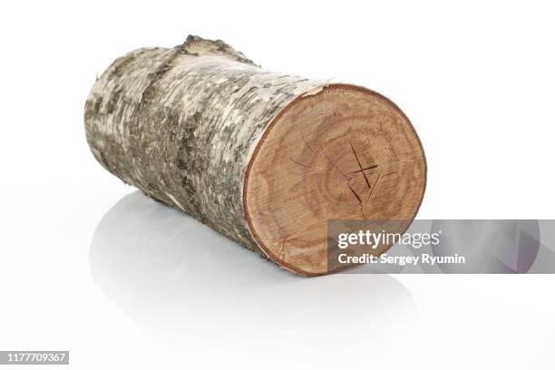 birch log on a white background - berk stockfoto's en -beelden