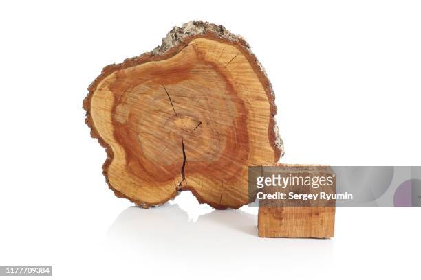 cross sections of tree trunk and wooden bar on a white background - part of a series foto e immagini stock
