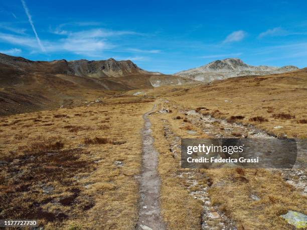 Mtb Border Ranges 2.517 Border Ranges National Park Stock Photos, High-Res Pictures, and ...