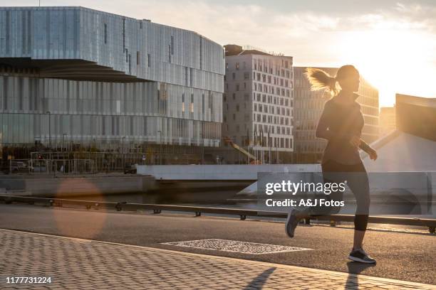 woman exercising in early morning. - city of oslo stock pictures, royalty-free photos & images