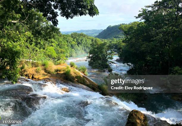 cascadas de agua azul, chiapas. - agua azul stock pictures, royalty-free photos & images