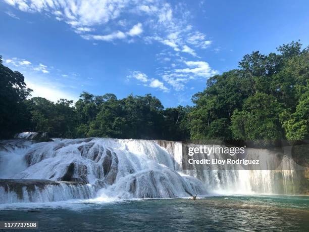 cascadas de agua azul, chiapas. - agua azul stock-fotos und bilder