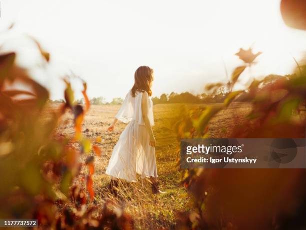 young woman walking in field at sunset - women wearing see through clothing stockfoto's en -beelden