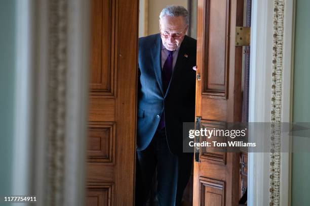 Senate Minority Leader Charles Schumer, D-N.Y., left, and Brett McGurk, off camera, former special envoy to counter ISIS, make their way to the...