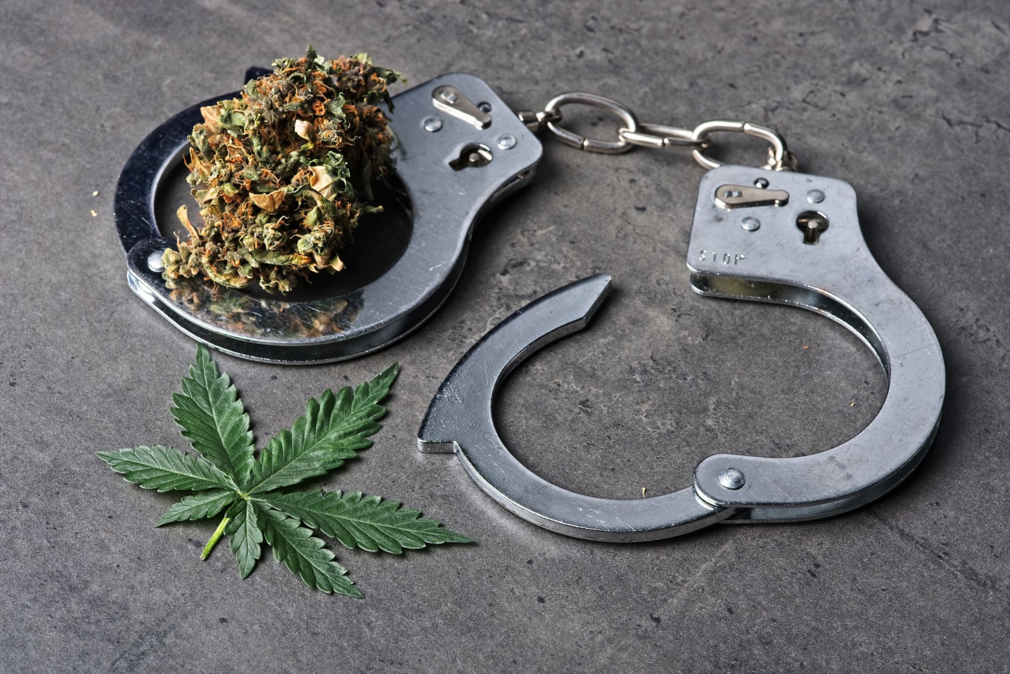 Cannabis bud and leaf with handcuffs Cannabis bud and leaf with handcuffs