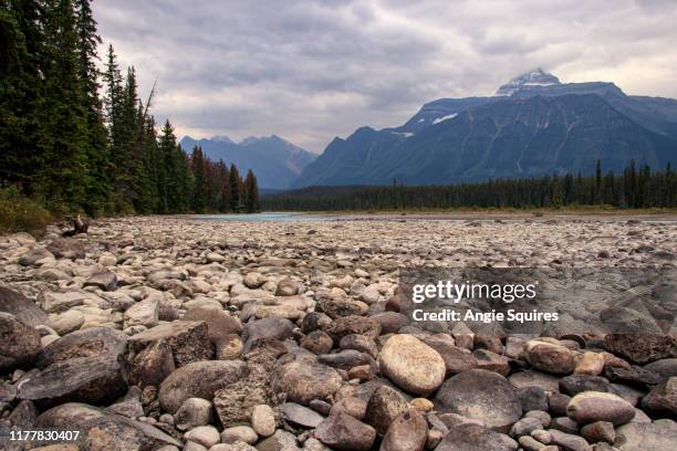 focus on pebbles on river bank near jasper in canada - riverside stock pictures, royalty-free photos & images