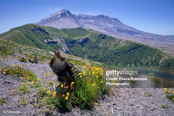 Mount St Helena Photos and Premium High Res Pictures - Getty Images