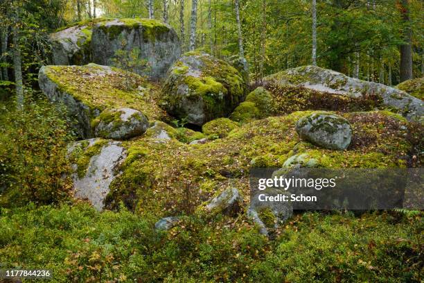 Large Rocks Forest Boulders Forest Photos and Premium High Res Pictures - Getty Images