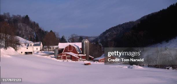 Chelsea Vt Chelsea Vt Photos and Premium High Res Pictures - Getty Images