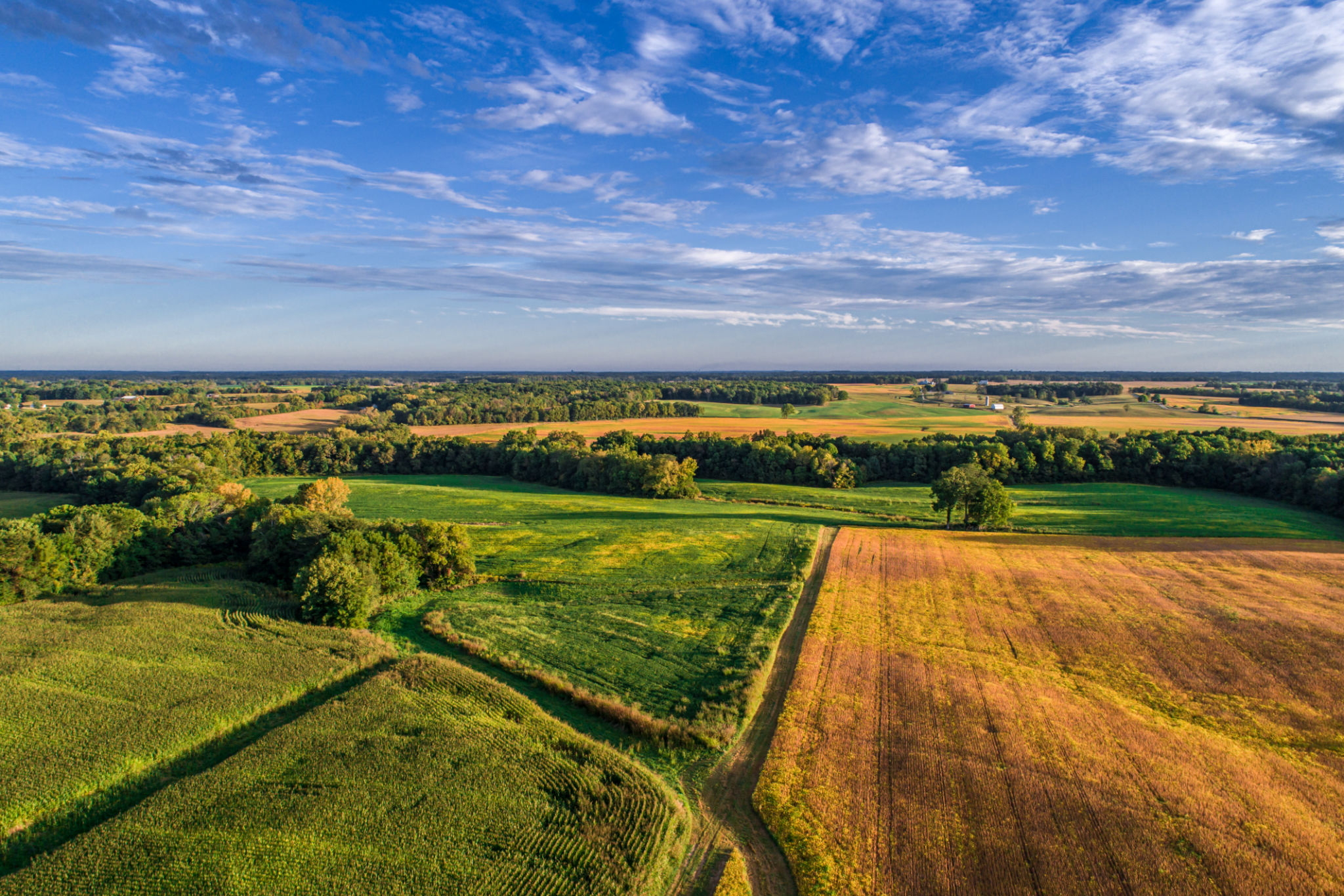 drone land