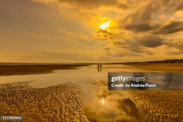 camber sands, east sussex, united kingdom - camber sands ストックフォトと画像