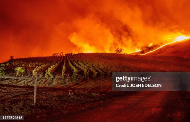 Flames approach rolling hills of grape vines during the Kincade fire near Geyserville, California on October 24, 2019. - The fire broke out in spite...