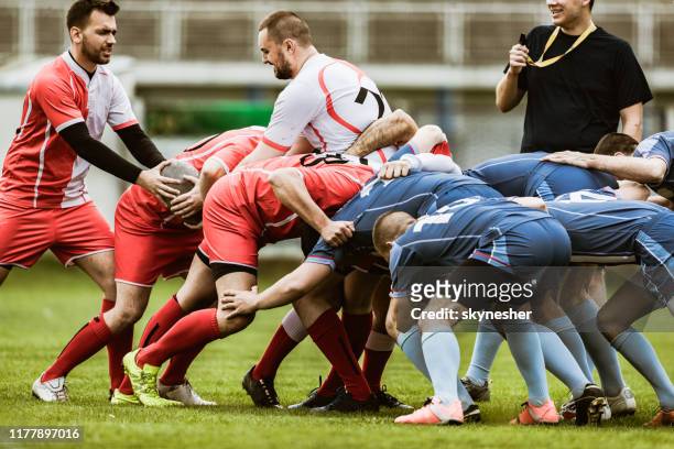 scrum aktion auf rugby-spiel! - rugby liga stock-fotos und bilder