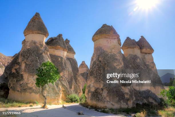 fairy chimneys - göreme stock-fotos und bilder