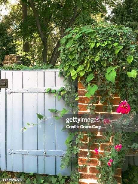 garden gate - formal garden gate stock pictures, royalty-free photos & images