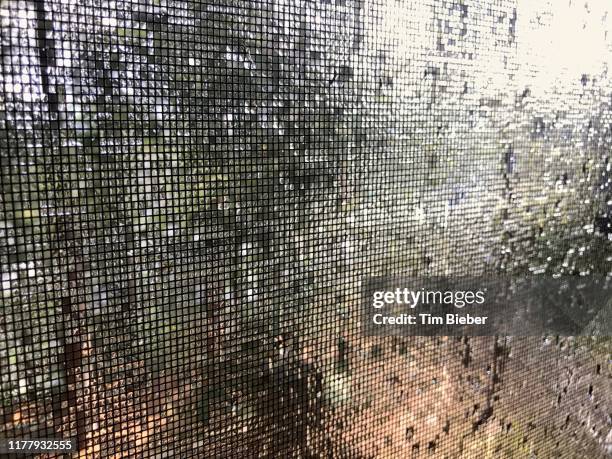 Rainscreen Insect Screen Insect Screen Photos and Premium High Res Pictures - Getty Images