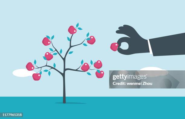 fruit tree - picking produce stock illustrations