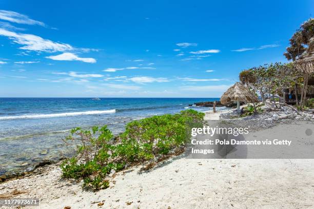 idyllic white sand beach in the caribbean sea in a sunny day, belize. - harvest caye fotografías e imágenes de stock