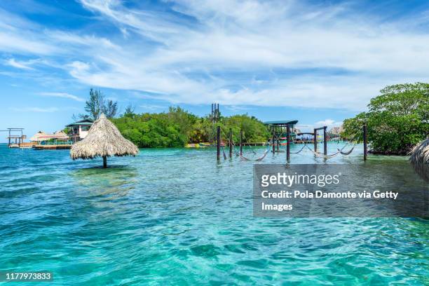 idyllic transparent water beach in the caribbean sea in a sunny day, roatan. - honduras stock-fotos und bilder