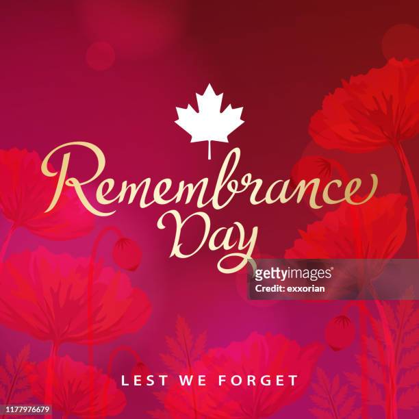 remembrance day canada - anzac day stock illustrations