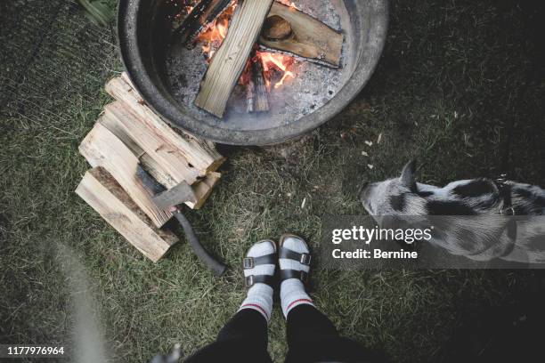 above view of a campfire, a pet pig, feet and firewood. - open toe stock pictures, royalty-free photos & images