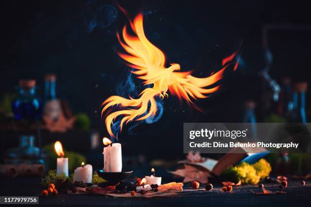 phoenix with a magical candle. fantasy artifact photography. dark still life with copy space. - フェニックス ストックフォトと画像