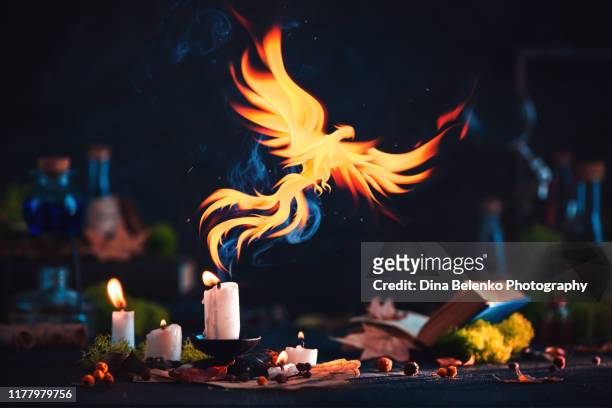 phoenix with a magical candle. fantasy artifact photography. dark still life with copy space. - phoenix bird stockfoto's en -beelden