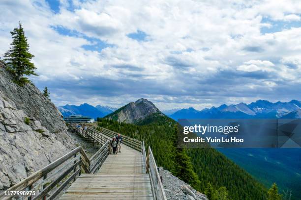 sulphur mountain boardwalk views, parque nacional banff, canadá - sulphur mountain fotografías e imágenes de stock