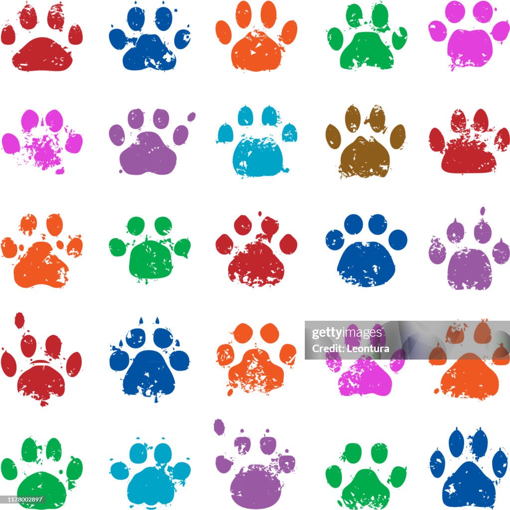 Impresiones Cat