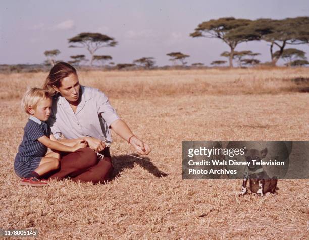 Hugo Eric Louis van Lawick, Jane Goodall appearing on the ABC tv special 'The Wild Dogs of Africa'.