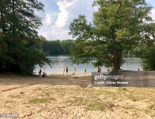 swimming in a freshwater lake, berlin - berlin swimming stock pictures, royalty-free photos & images