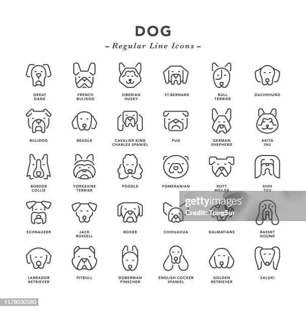 hund - reguläre liniensymbole - schoßhund stock-grafiken, -clipart, -cartoons und -symbole