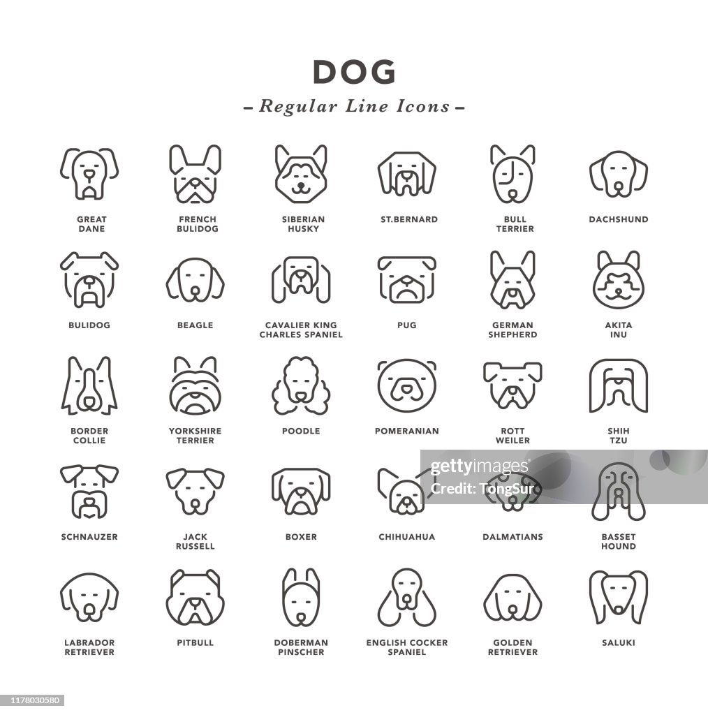 Hond-reguliere lijn iconen