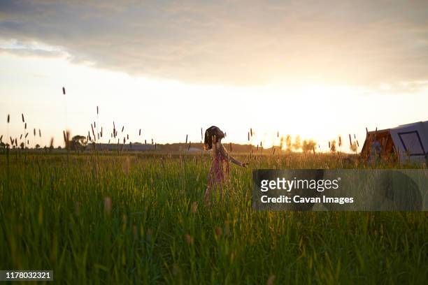 young girl running in a field of high grass whilst out camping - dancing for ned stock pictures, royalty-free photos & images