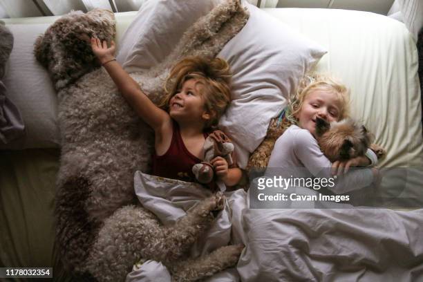 girls snuggling in bed with dogs in morning light - big hug stock pictures, royalty-free photos & images