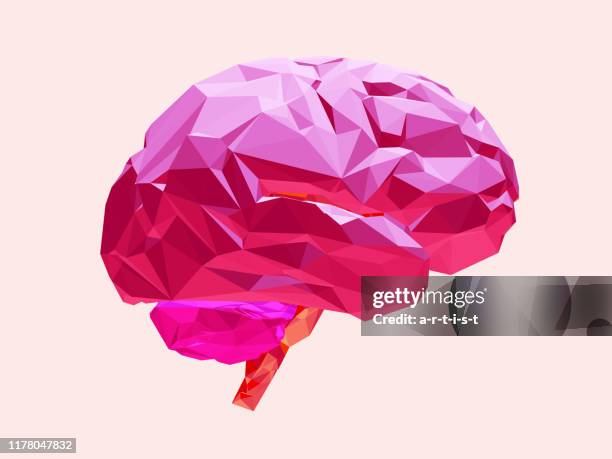 brain. 3d model. - human internal organs 3d model stock illustrations