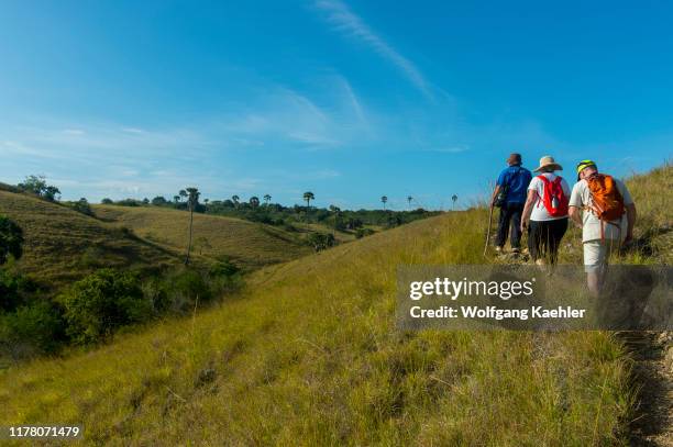 Tourists walking trough the savannah like hilly landscape of Rinca Island, part of Komodo National Park, Indonesia.