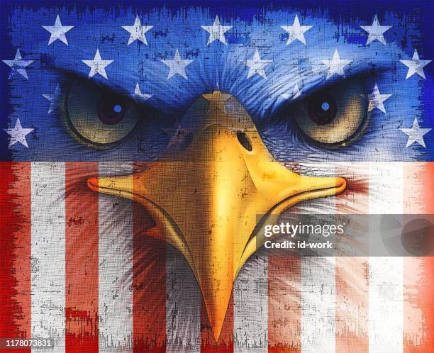 bald eagle with usa flag - bald eagle stock illustrations