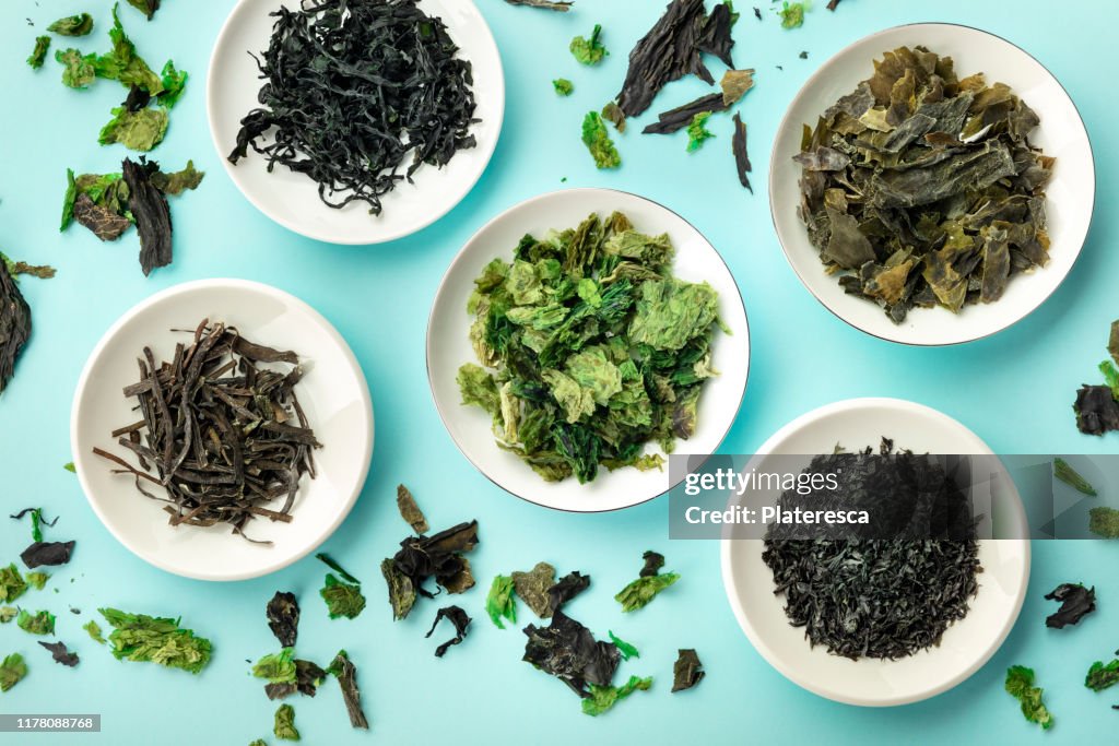 Various dry seaweed, sea vegetables, shot from above on a teal background