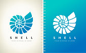 Shell. Mollusk vector. Design vector illustration.