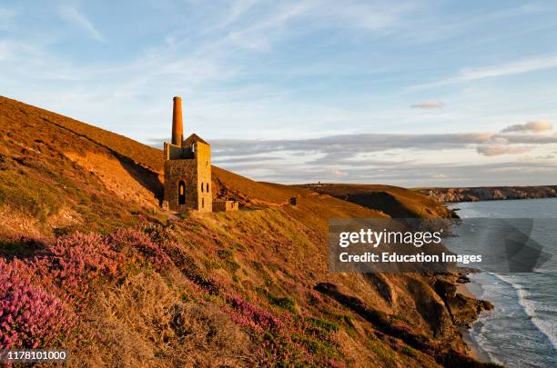 The old towanroath tin mine engine house on the cliffs near chapel porth, st.agnes, Cornwall,, England, Britain, uk.