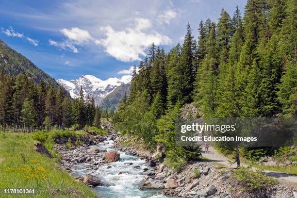 Hikers walking in the Gran Paradiso National Park or Parco nazionale del Gran Paradiso, with a view up the Torrente Valnontey to mountains.