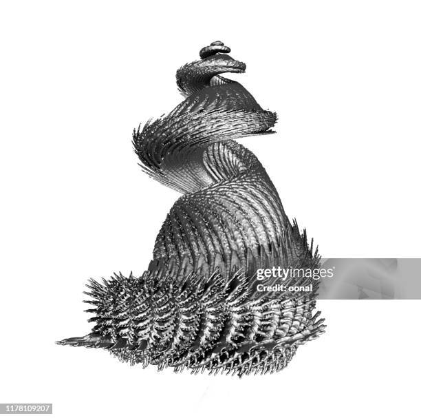 abstract sculptural grey metalic toned object 3d form - animal sculpture stock pictures, royalty-free photos & images