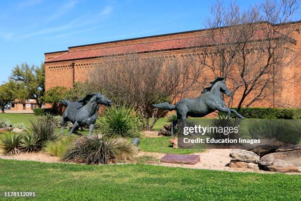 Wild horses bronze sculpture on campus at Midwestern State University in Wichita Falls Texas.